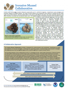 Click to view the Invasive Mussel Collaborative Prospectus